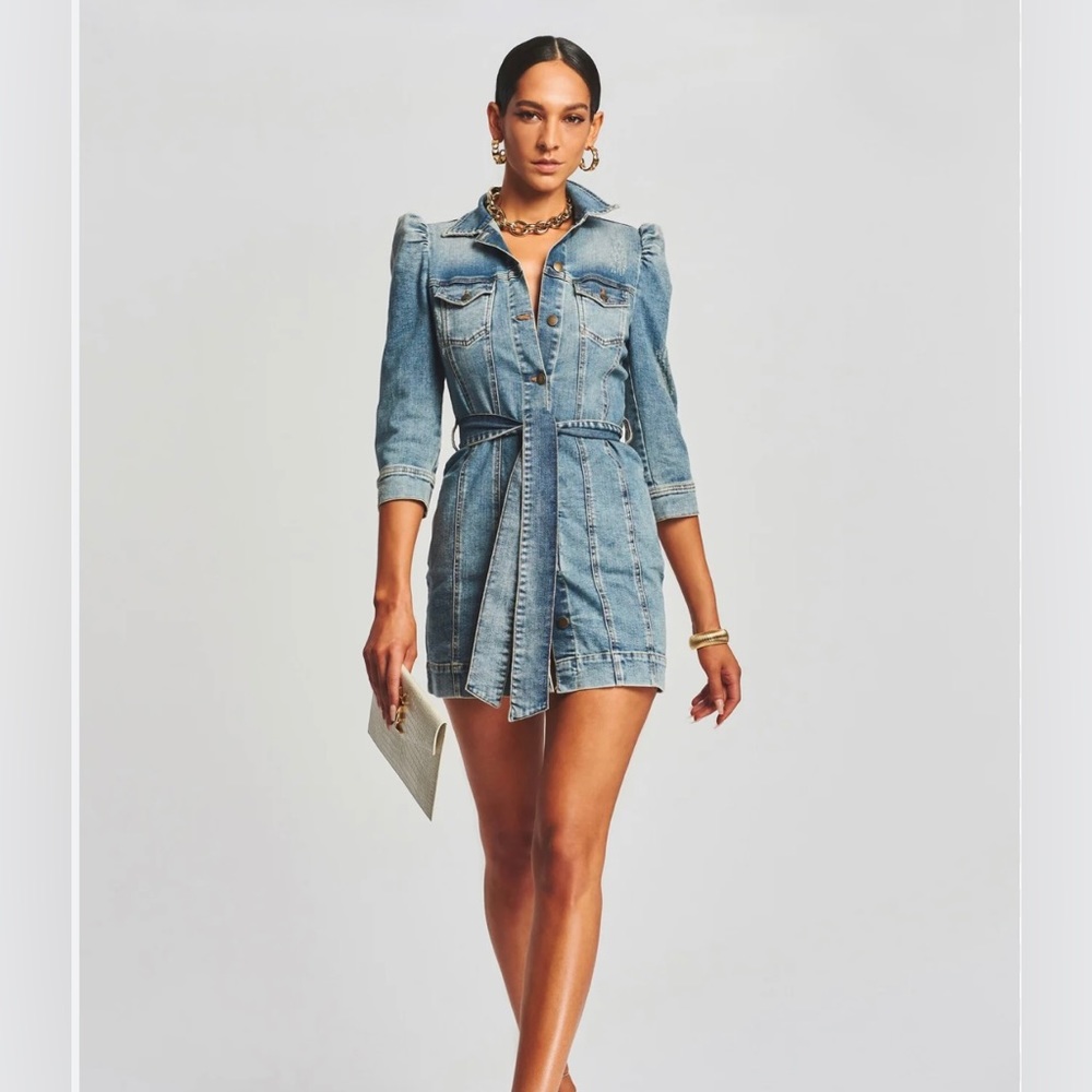 NWT Retrofete Lema Denim dress